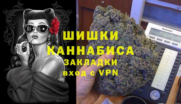 PSILOCYBIN Алексеевка