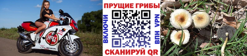 MEGA зеркало  Усть-Илимск  Псилоцибиновые грибы ЛСД 